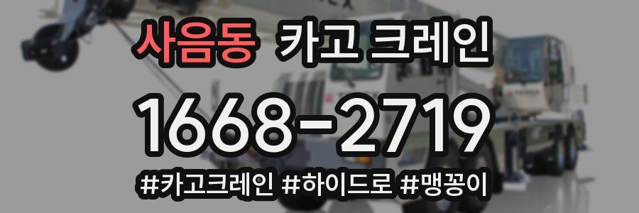 사음동 크레인 작업