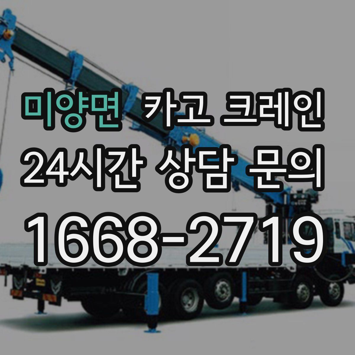 미양면 카고 크레인