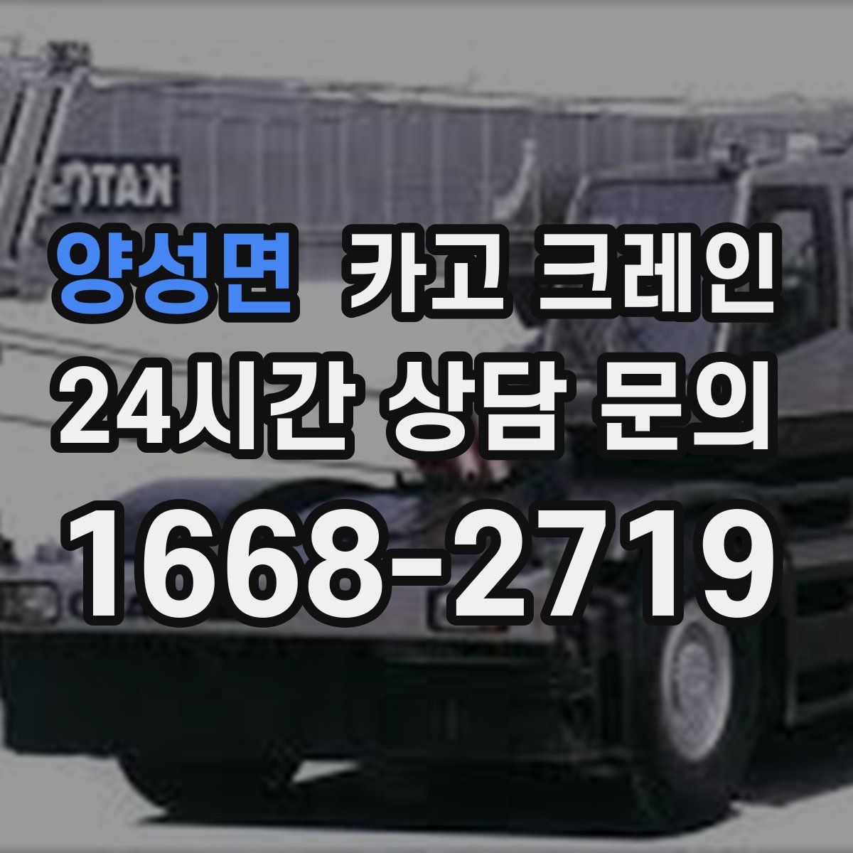 양성면 카고 크레인