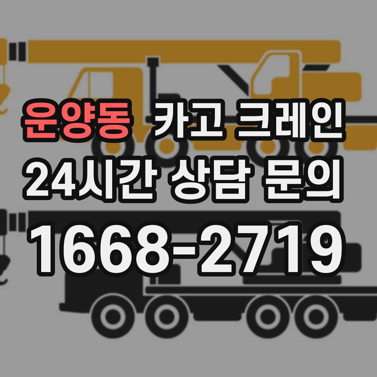 운양동 카고 크레인