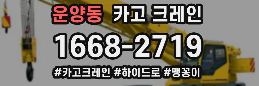 운양동 크레인 작업