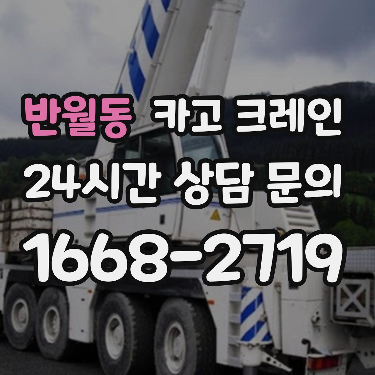 반월동 카고 크레인