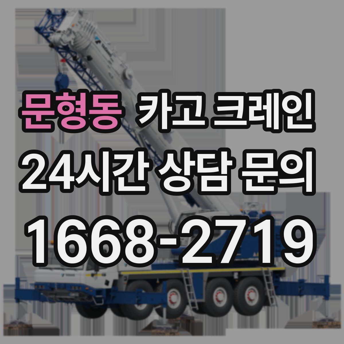 문형동 카고 크레인