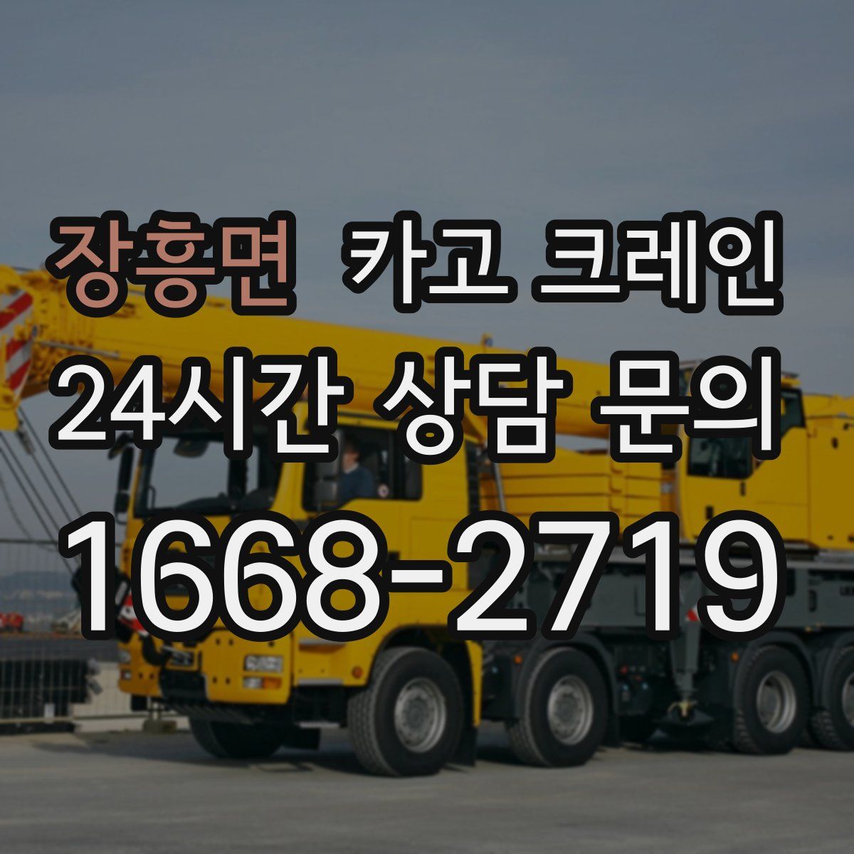 장흥면 카고 크레인