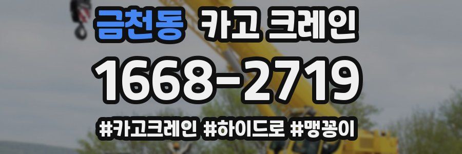 금천동 크레인 작업