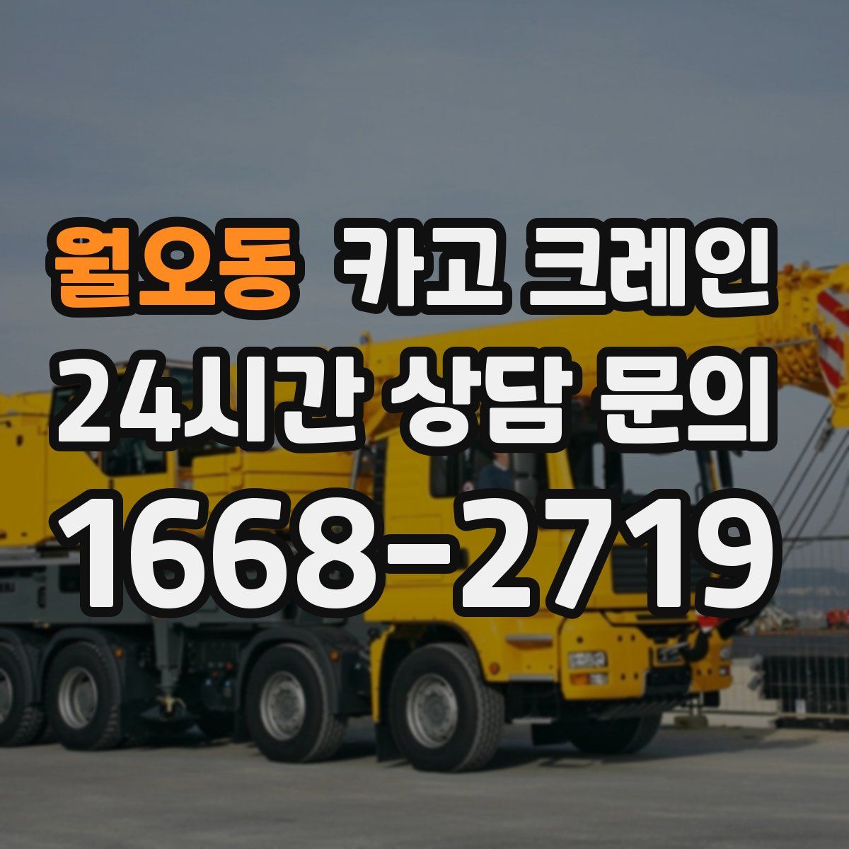 월오동 카고 크레인