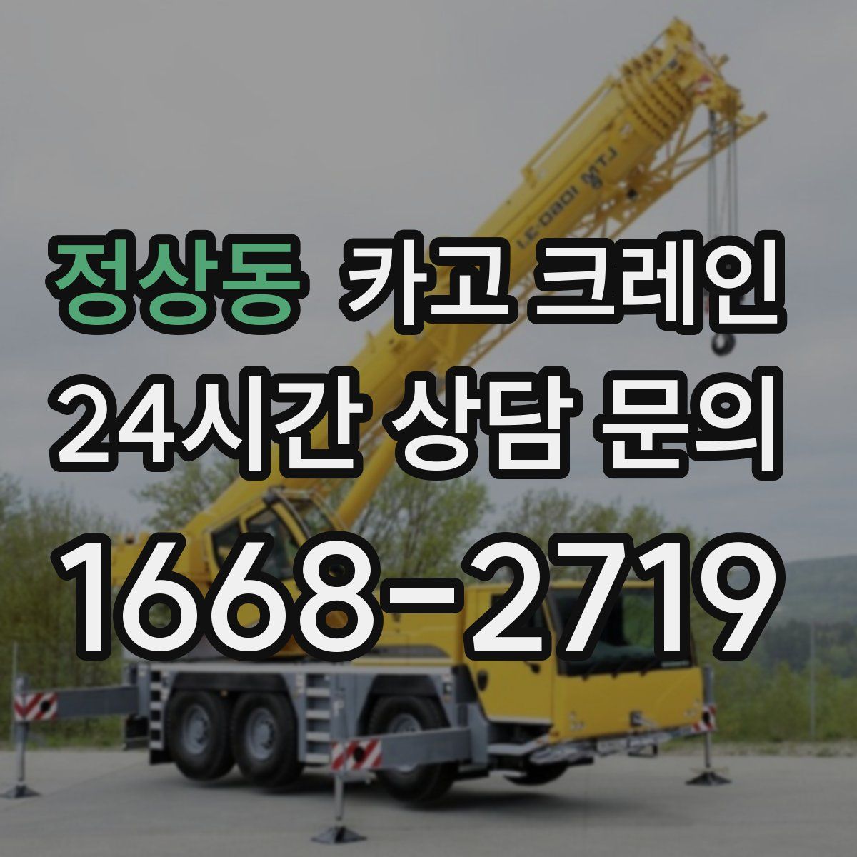정상동 카고 크레인