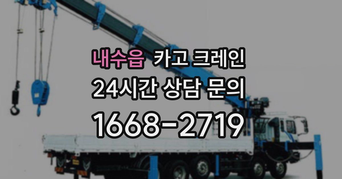 내수읍 크레인