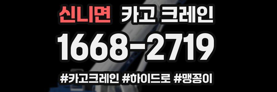 신니면 크레인 작업