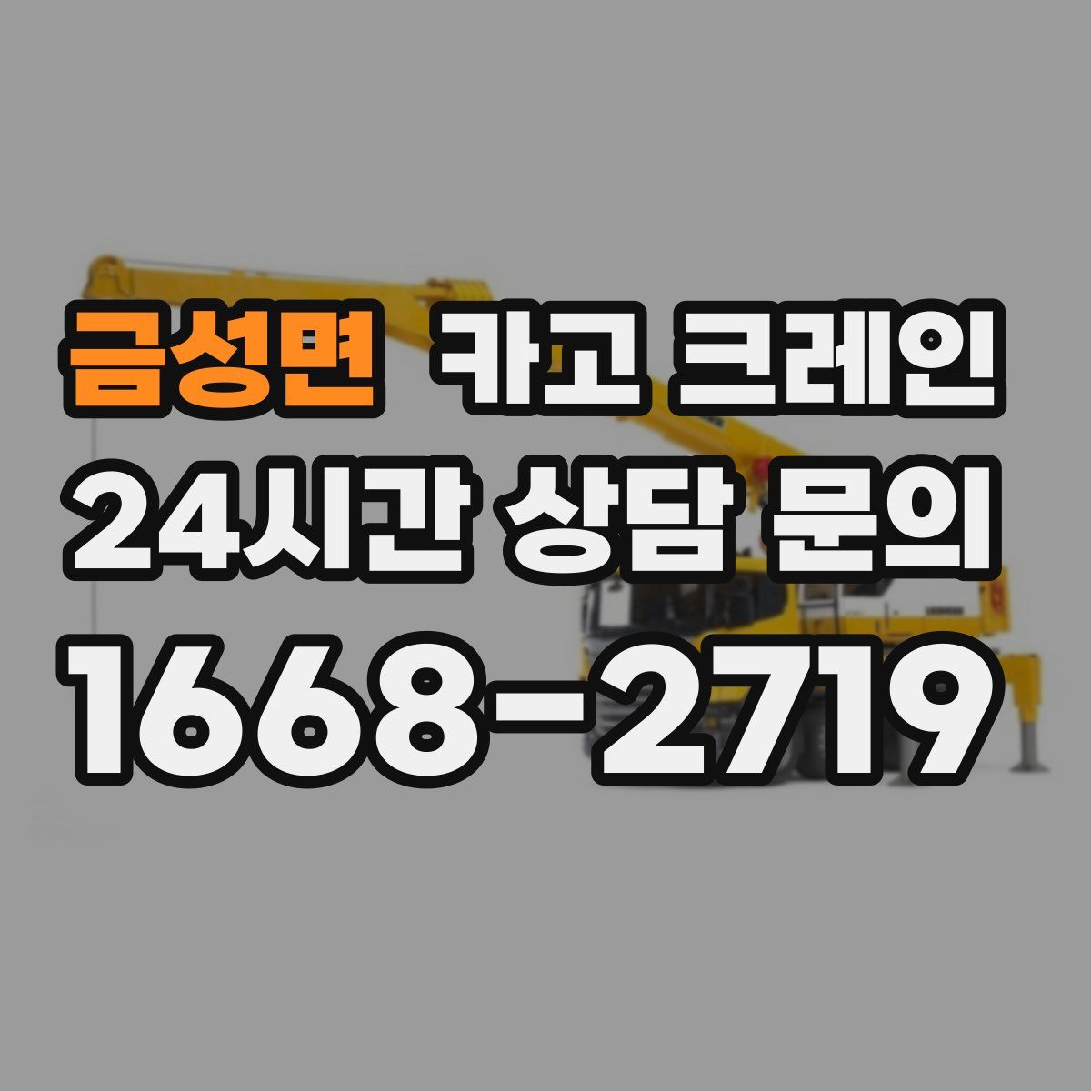 금성면 카고 크레인