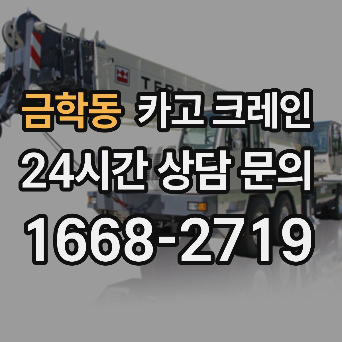 금학동 카고 크레인