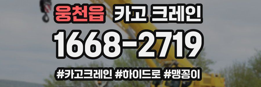 웅천읍 크레인 작업