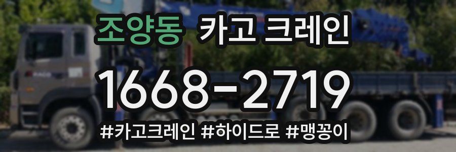 조양동 크레인 작업