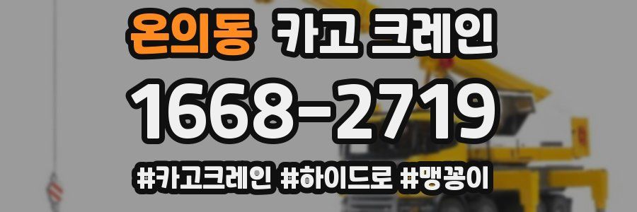 온의동 크레인 작업