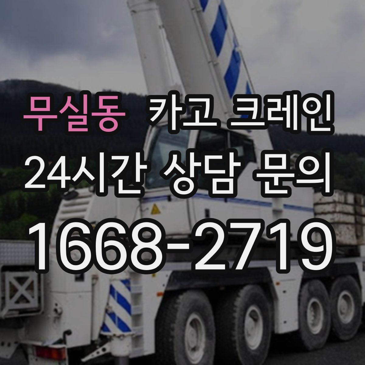 무실동 카고 크레인