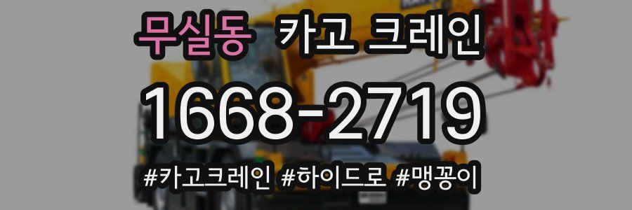 무실동 크레인 작업