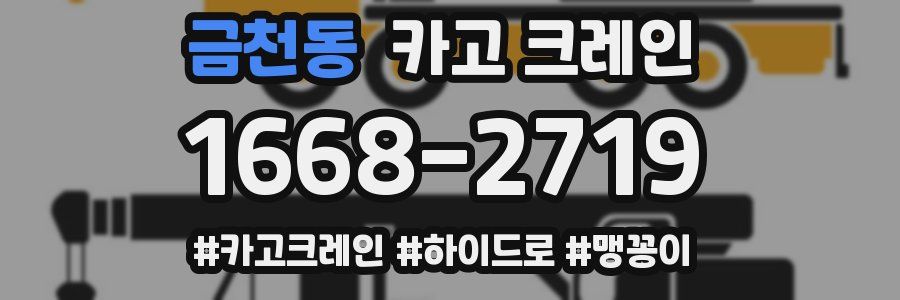 금천동 크레인 작업