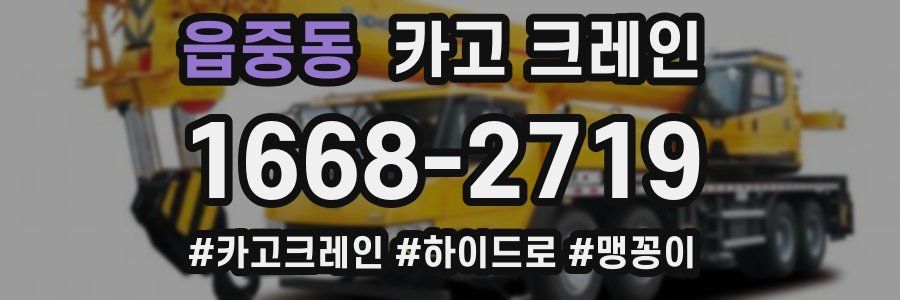 읍중동 크레인 작업