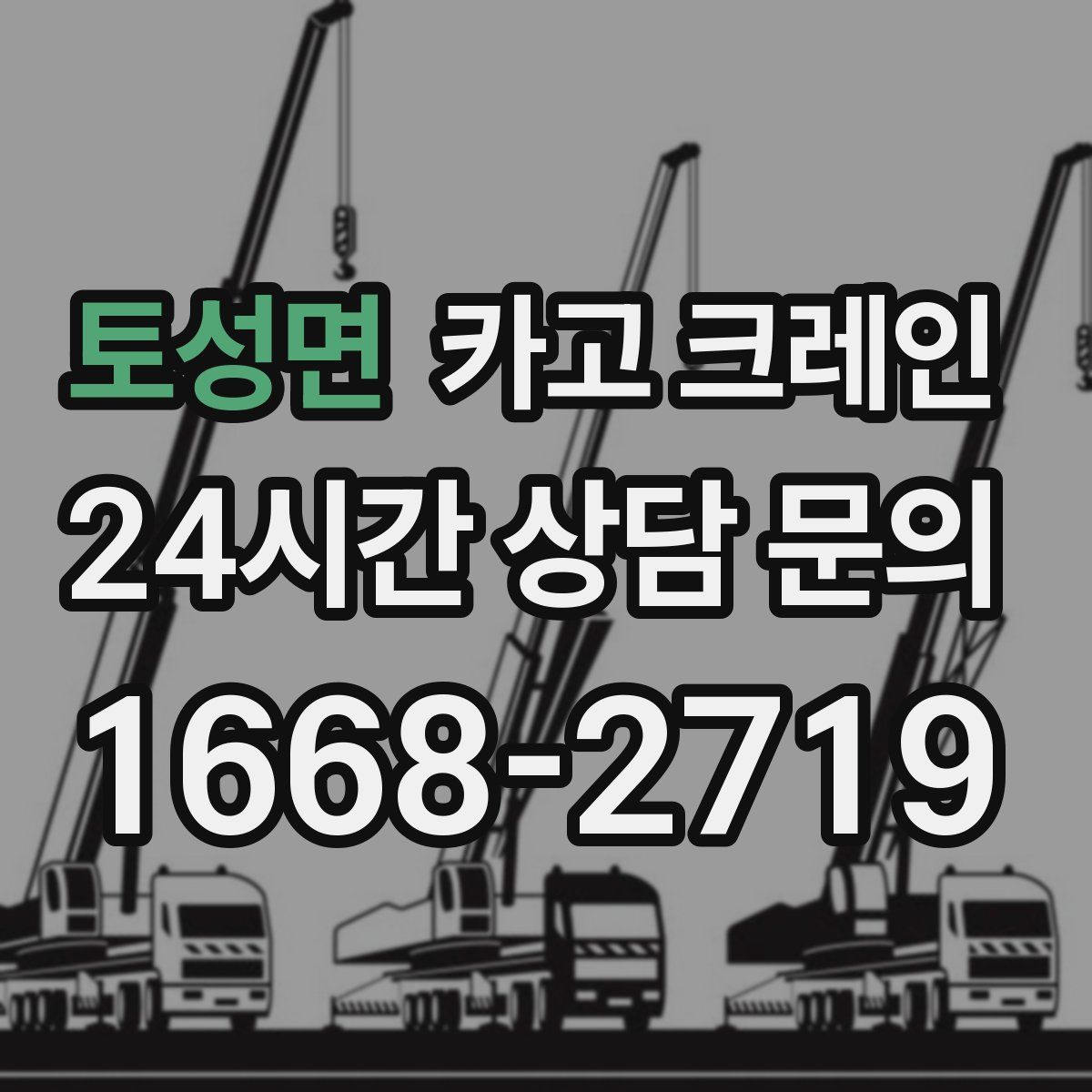 토성면 카고 크레인