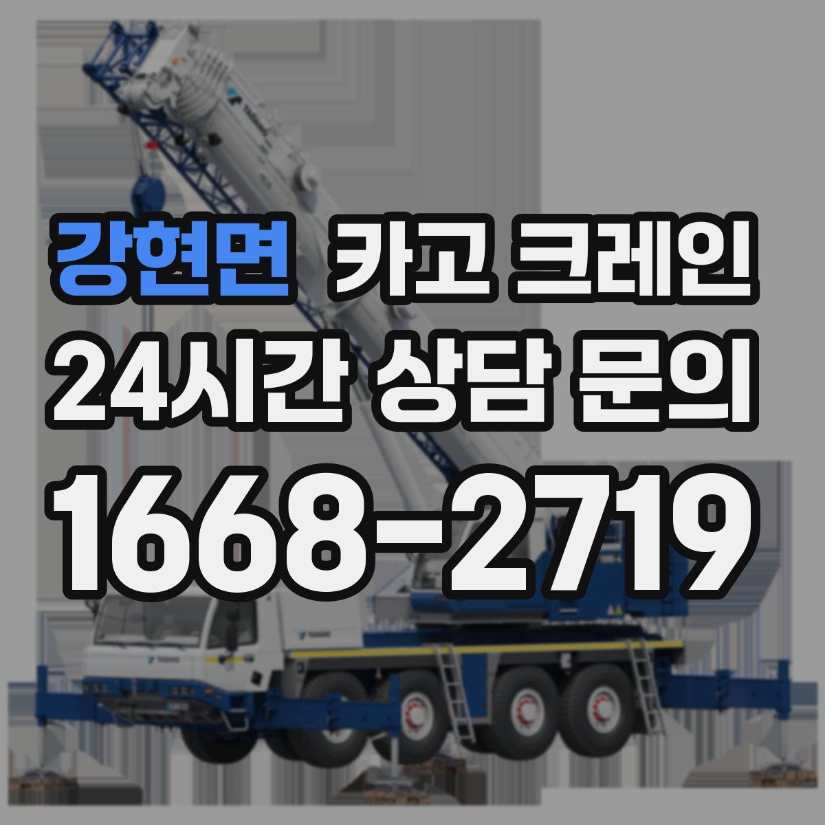 강현면 카고 크레인