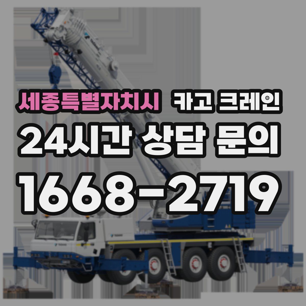 세종특별자치시 카고 크레인