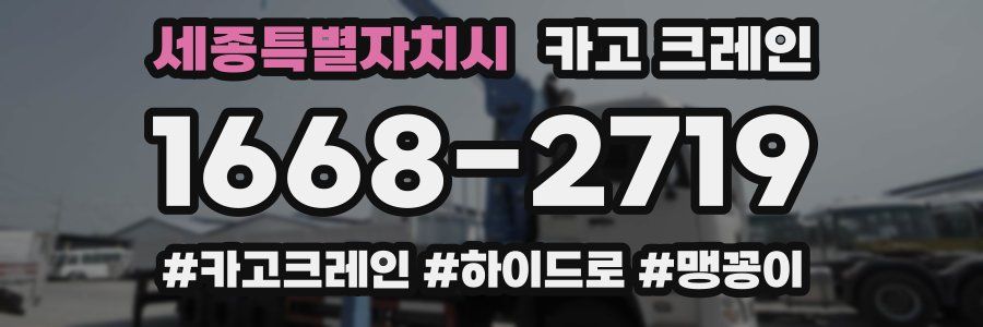 세종특별자치시 크레인 작업