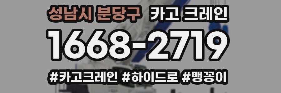 성남시 분당구 크레인 작업