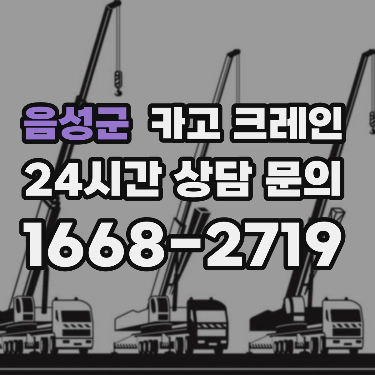 음성군 카고 크레인