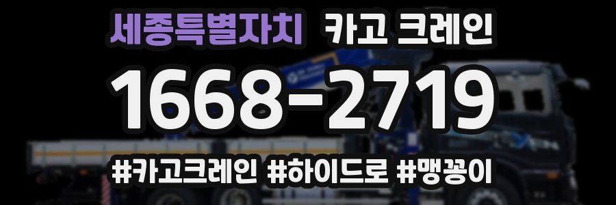 세종특별자치 크레인 작업