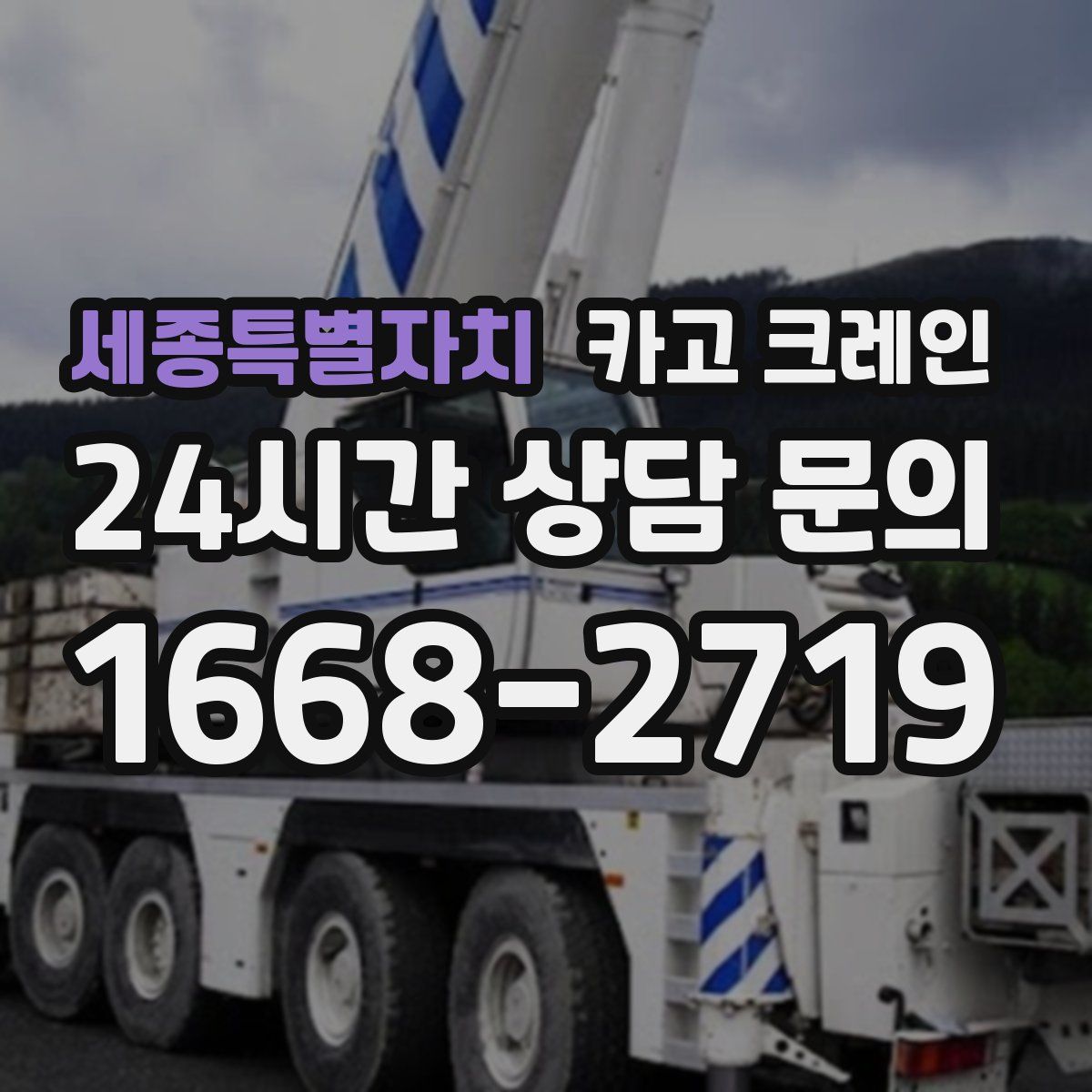 세종특별자치 카고 크레인