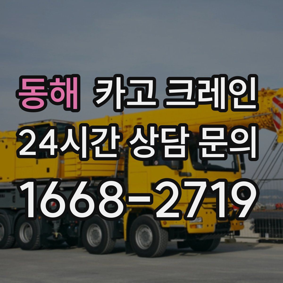 동해 카고 크레인