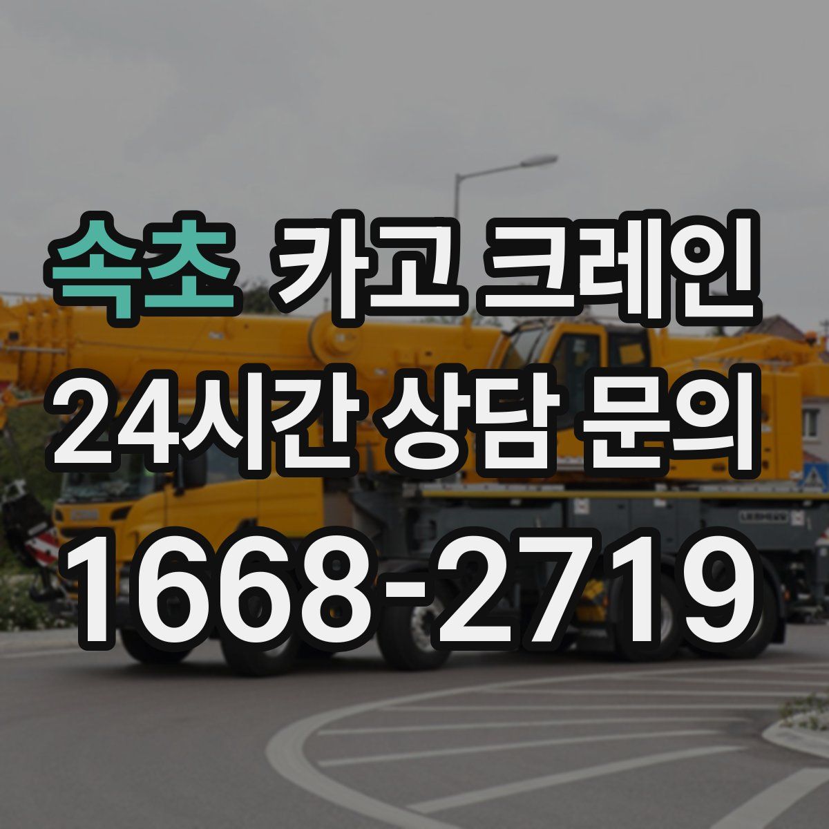 속초 카고 크레인