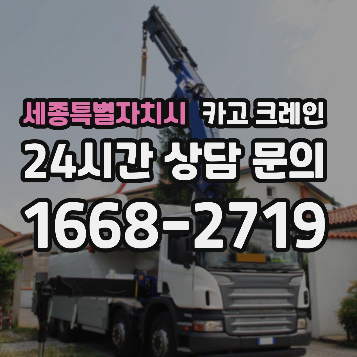 세종특별자치시 카고 크레인