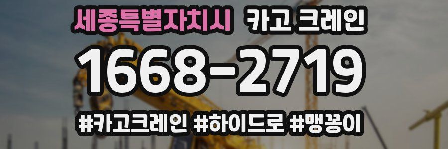 세종특별자치시 크레인 작업