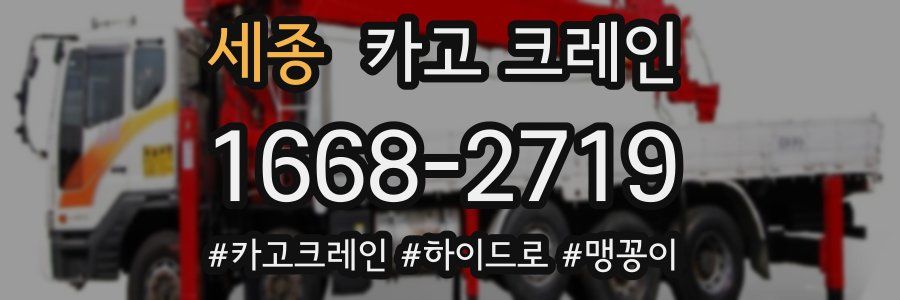 세종 크레인 작업