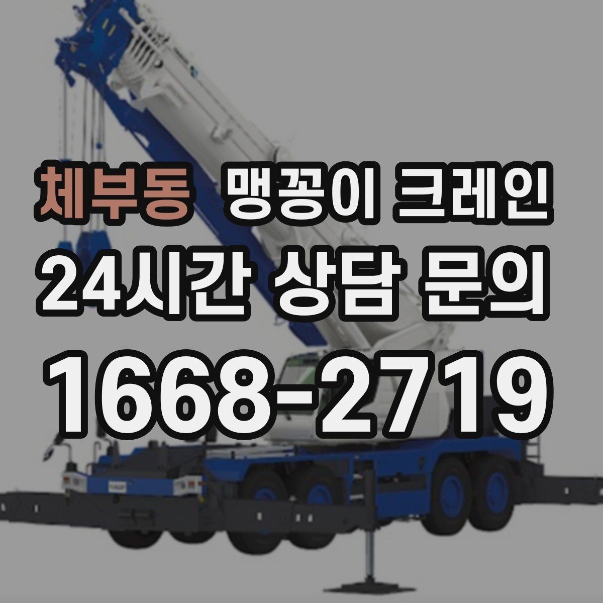 체부동 맹꽁이 크레인 성공적인 작업을 위한 핵심 포인트만 정리