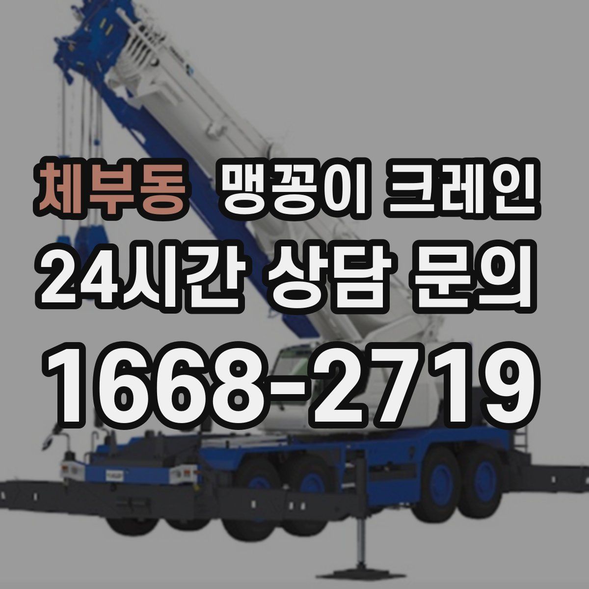 체부동 맹꽁이 크레인