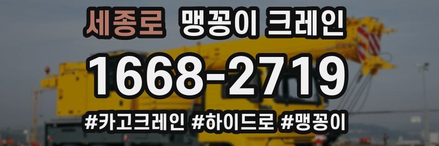 세종로 맹꽁이 크레인