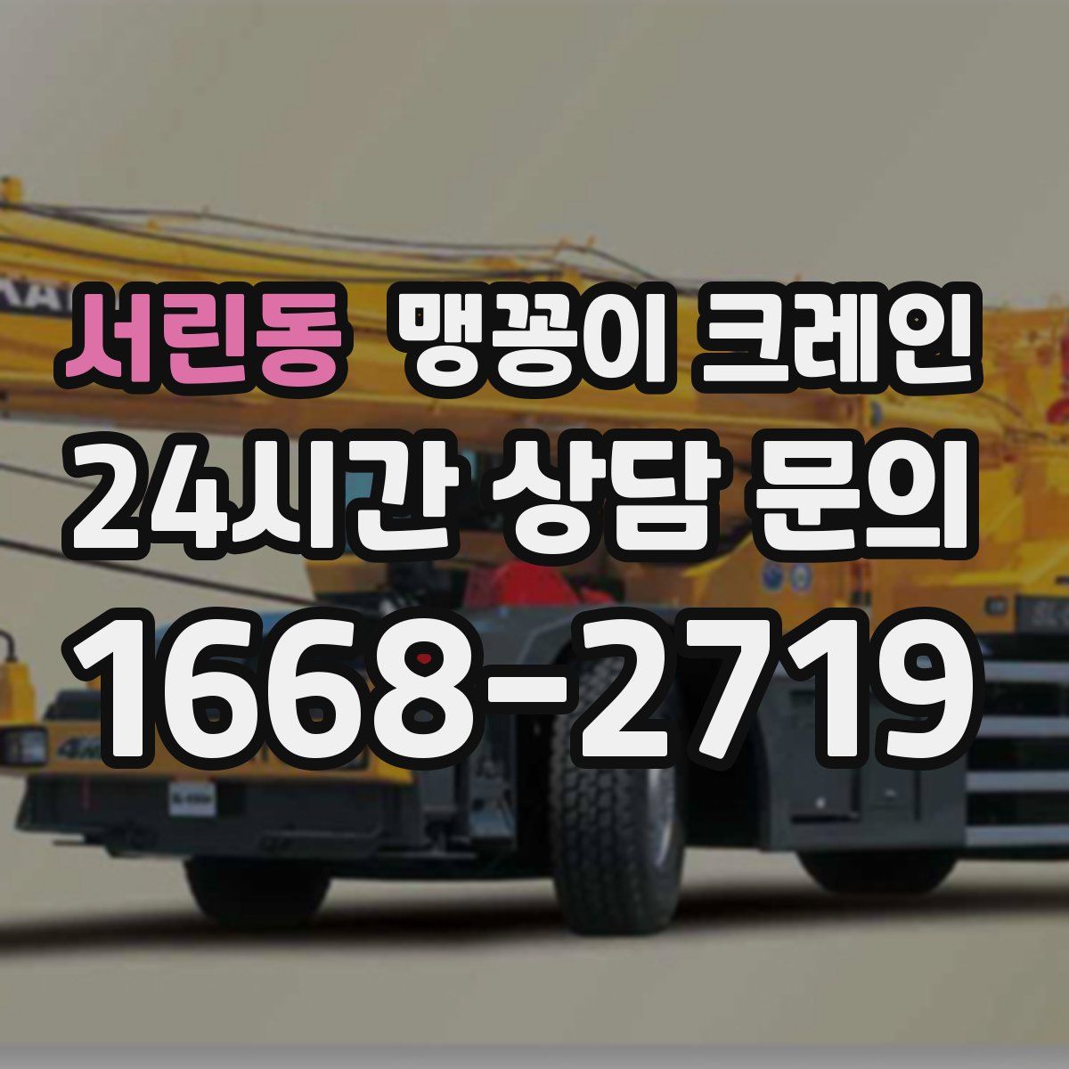 서린동 맹꽁이 크레인
