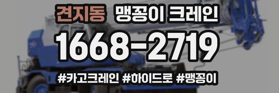 견지동 맹꽁이 크레인
