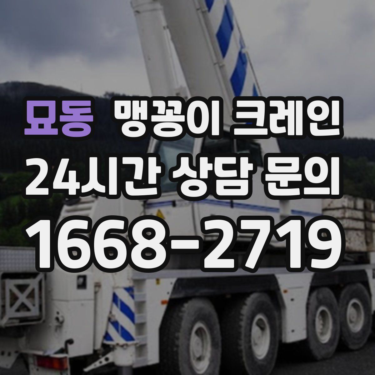 묘동 맹꽁이 크레인