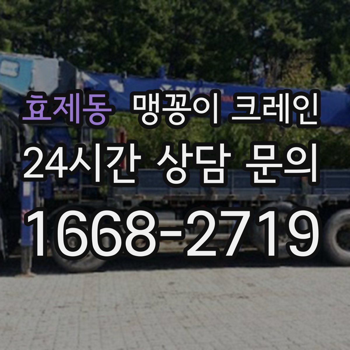 효제동 맹꽁이 크레인