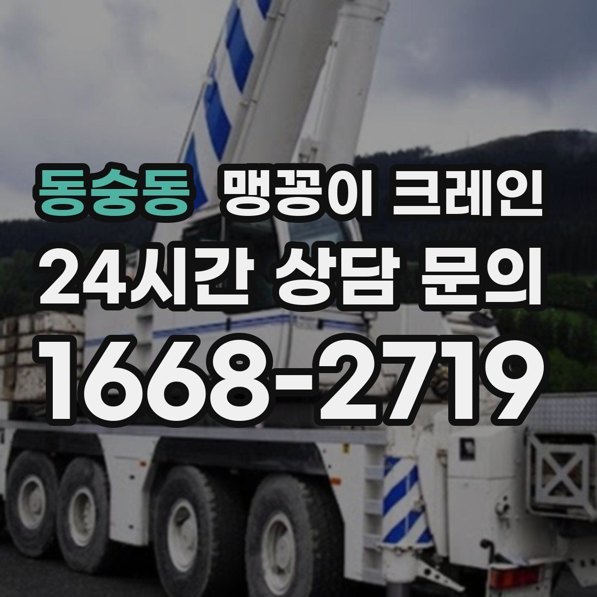 동숭동 맹꽁이 크레인