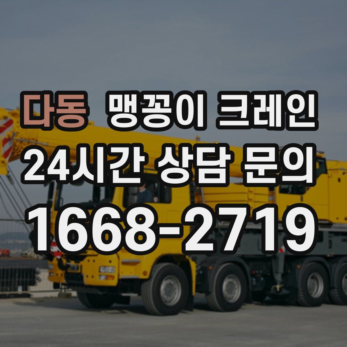 다동 맹꽁이 크레인