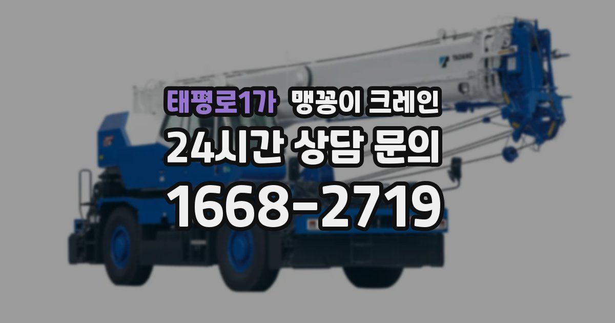 태평로1가 맹꽁이 크레인