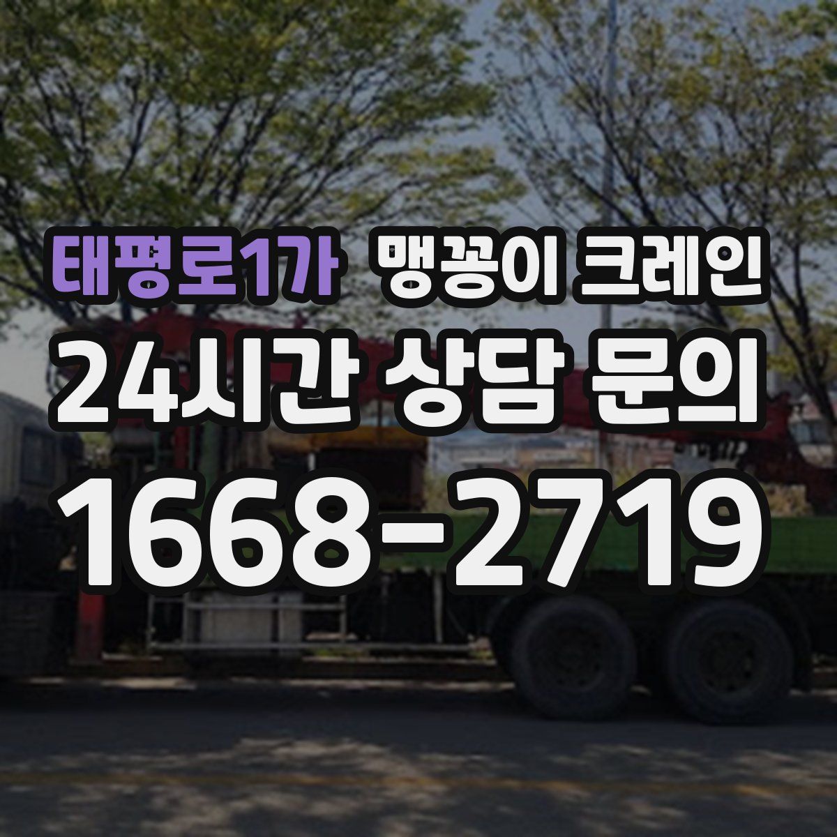 태평로1가 맹꽁이 크레인