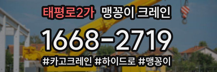 태평로2가 맹꽁이 크레인