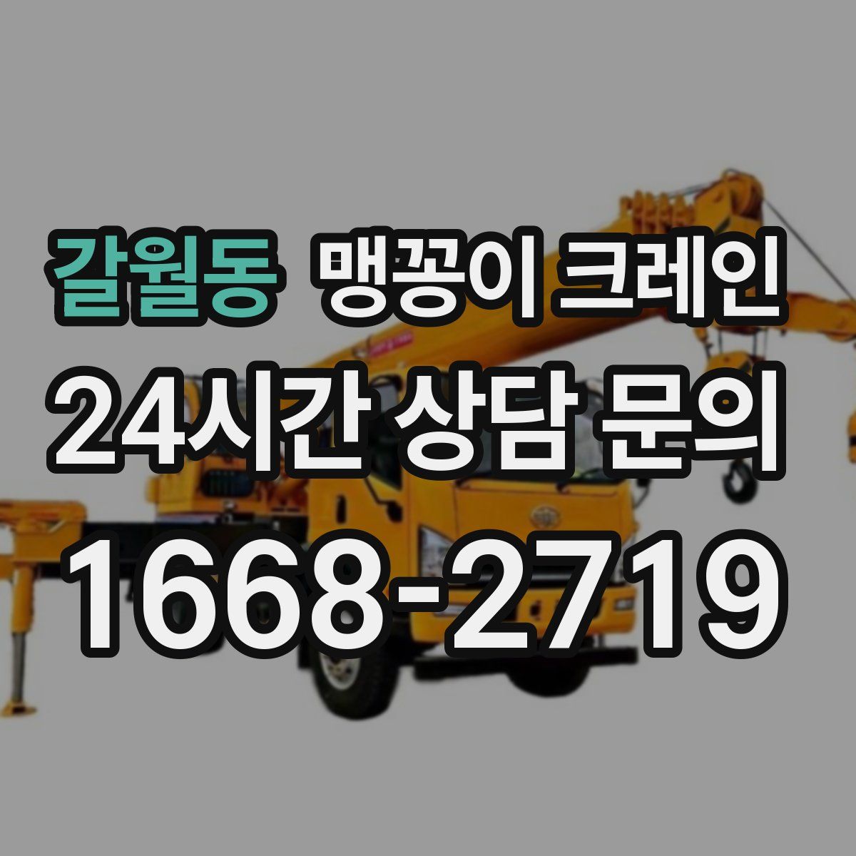 갈월동 맹꽁이 크레인