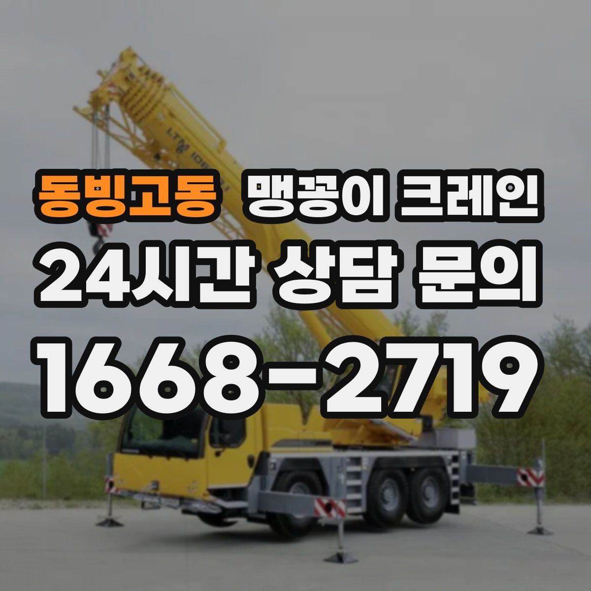 동빙고동 맹꽁이 크레인