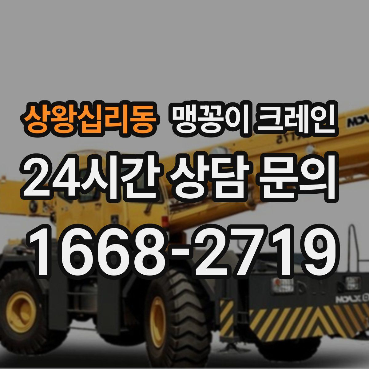 상왕십리동 맹꽁이 크레인